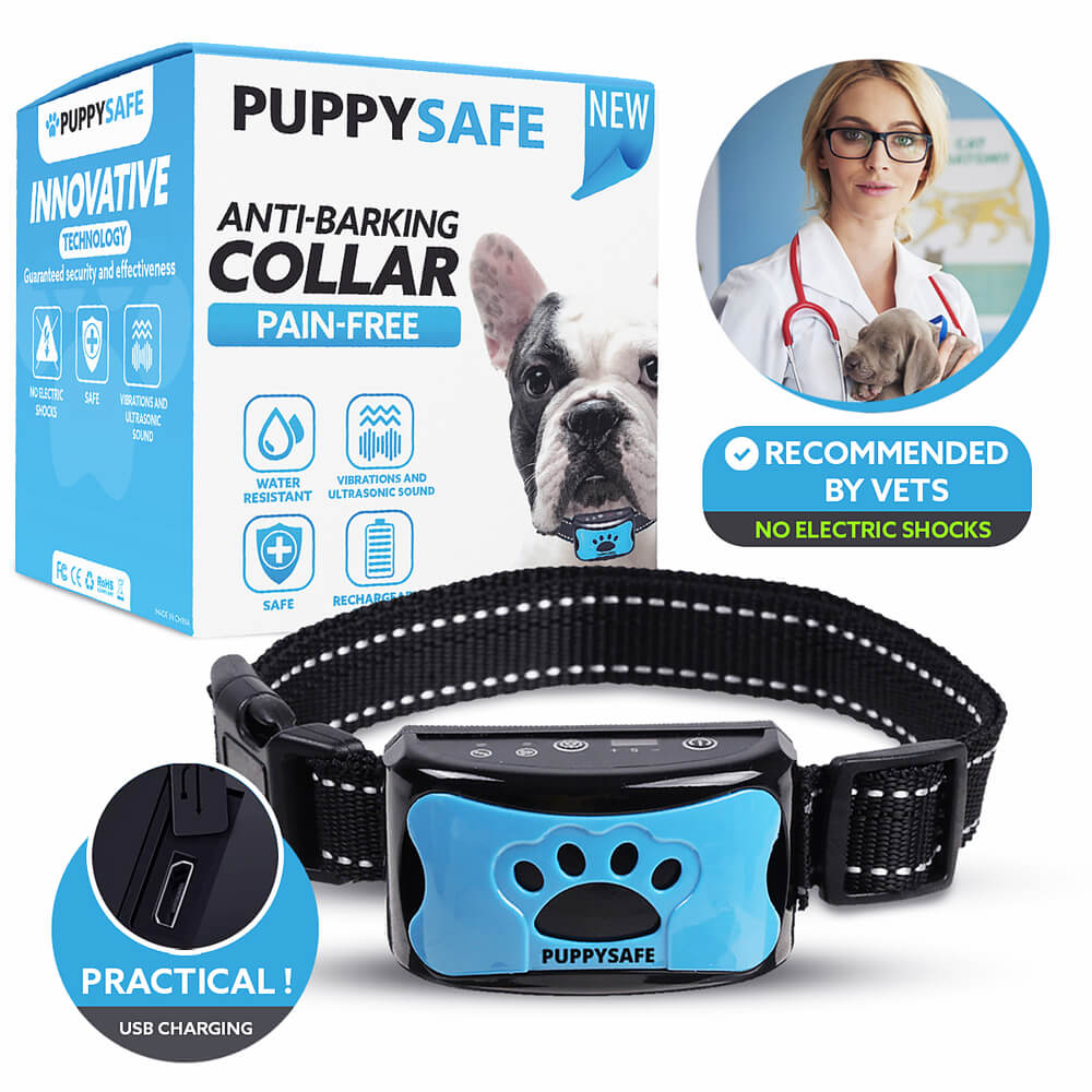 Bark collar best sale for puppies safe