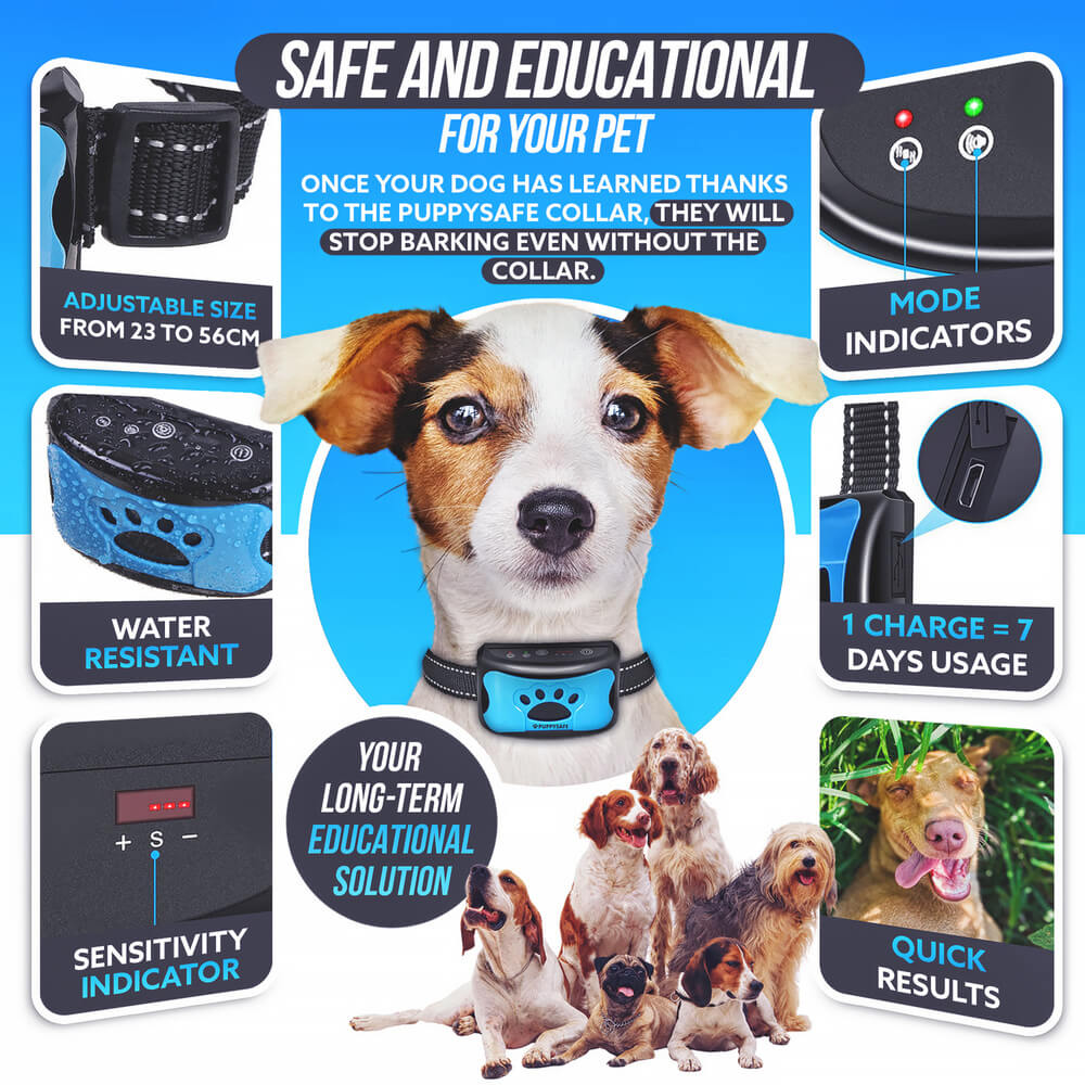 Bark solution bark store collar