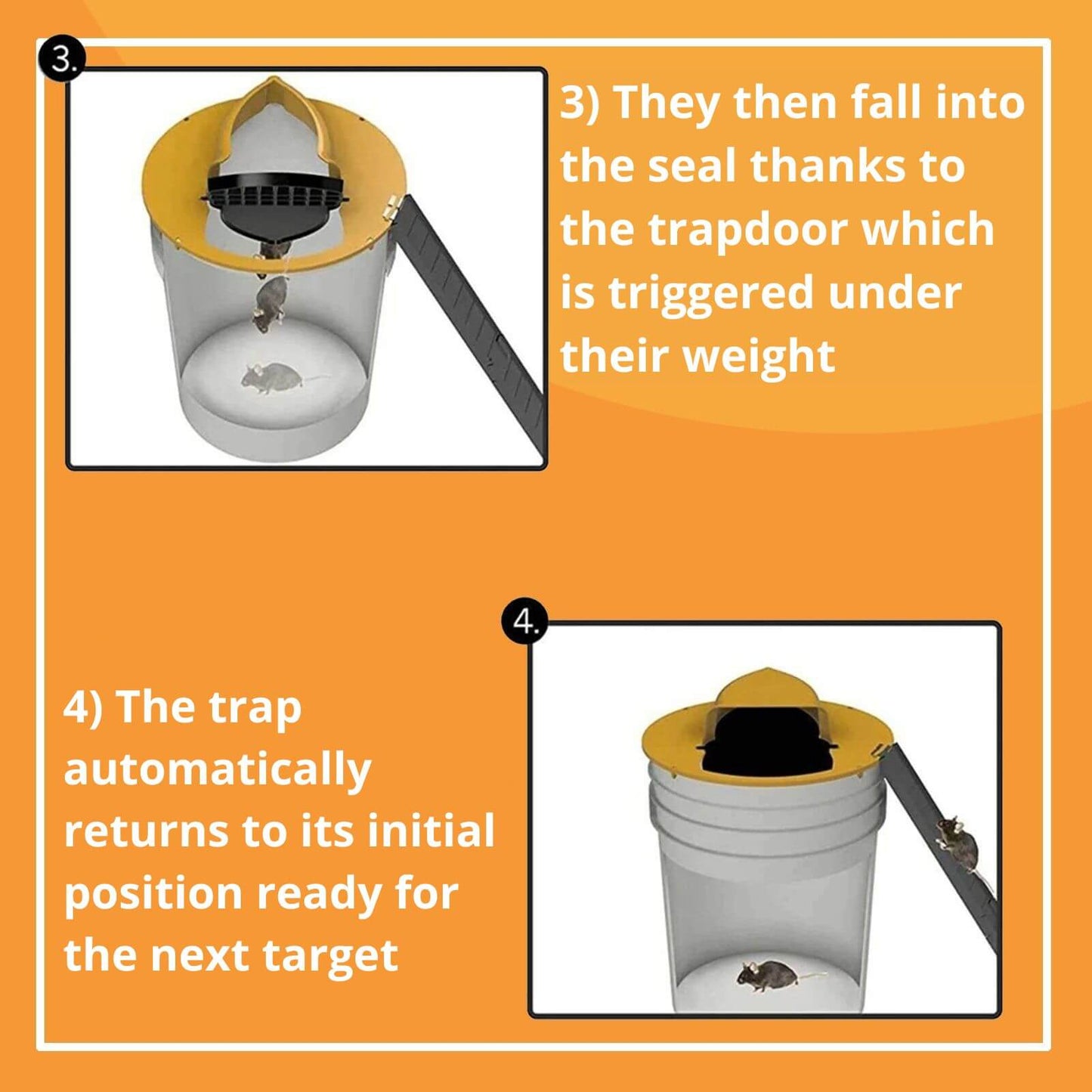 Smart and  Humane Trap for rats and mice