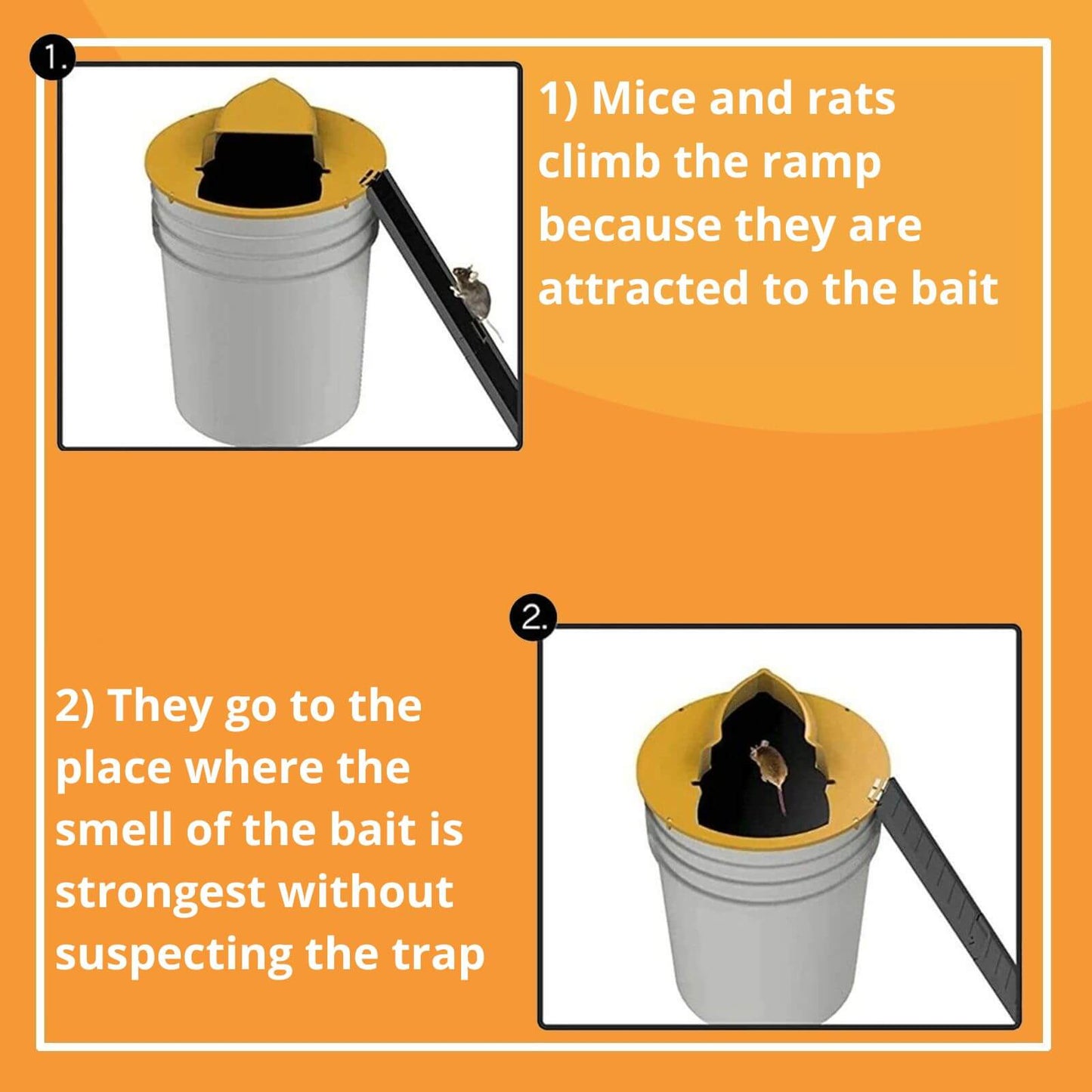 Smart and  Humane Trap for rats and mice