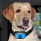 PuppySafe™ Bark Control Collar